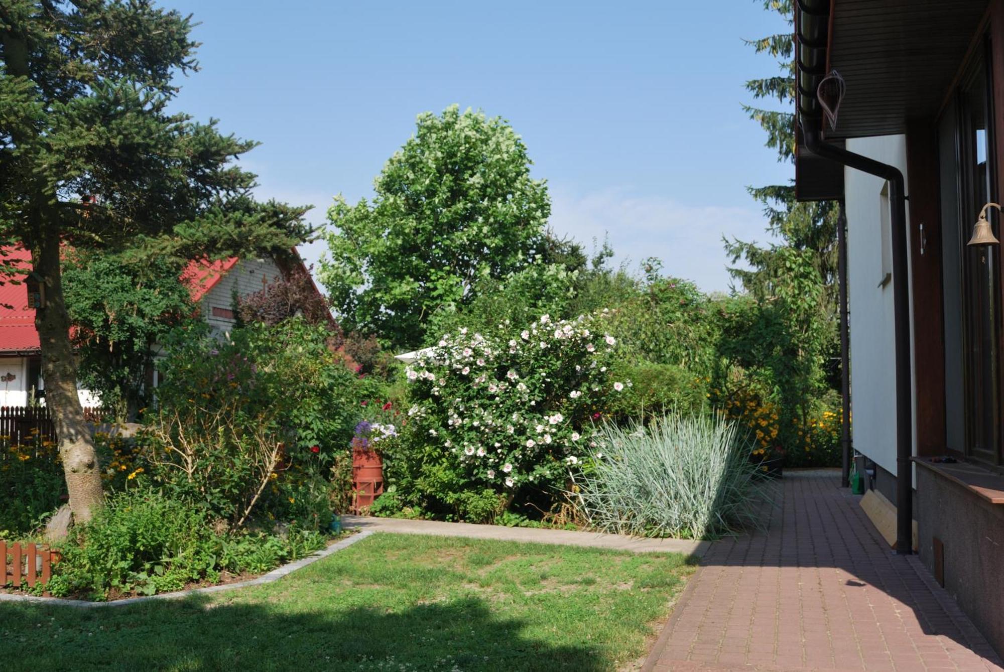 Agroturystyka Pod Czarna Sosna Bialy Lug Exterior foto