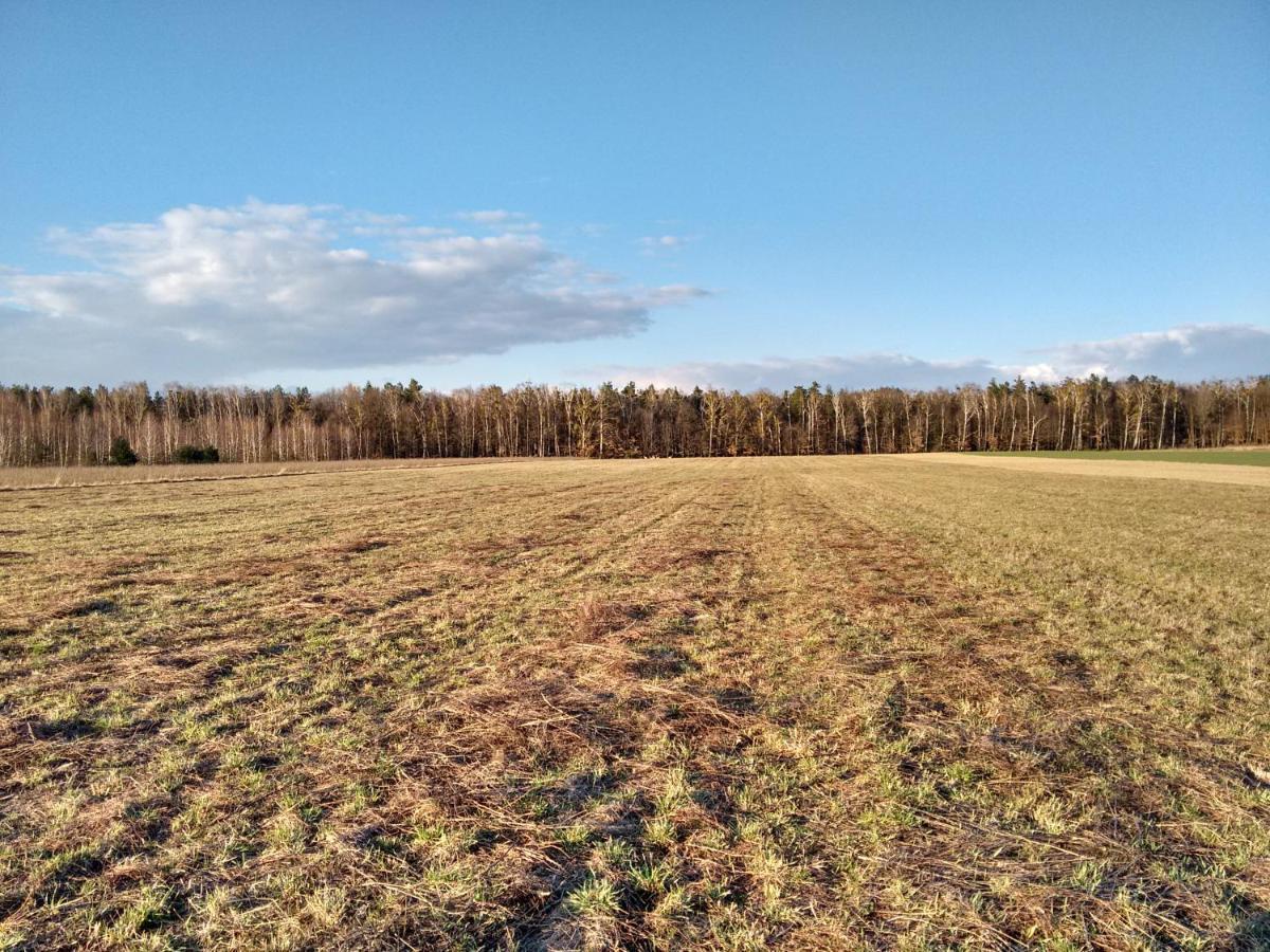 Agroturystyka Pod Czarna Sosna Bialy Lug Exterior foto